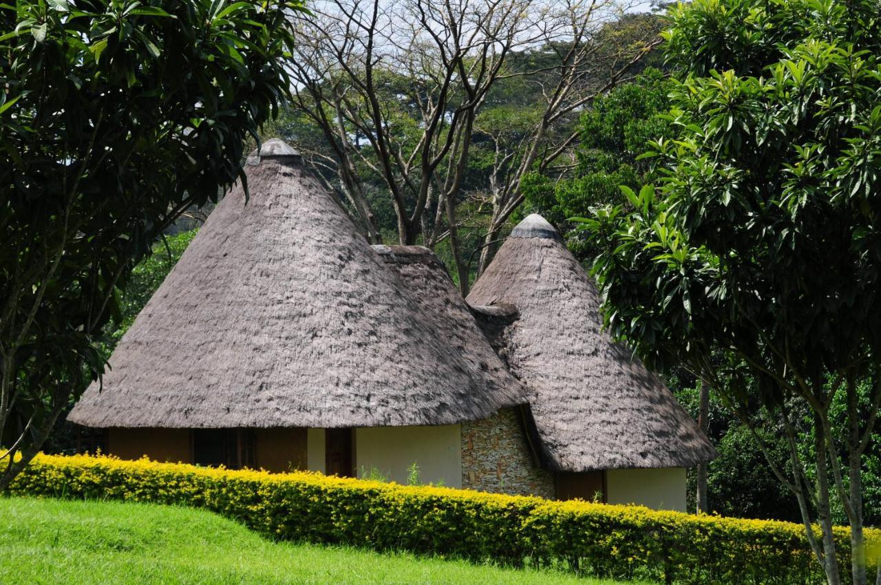 Fort Portal Kibale Guest Cottages מראה חיצוני תמונה